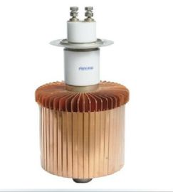 kaufen FU3069F-Vakuumelektronenröhre-Element für Induktions-Heizung ersetzen E3069 online manufacture